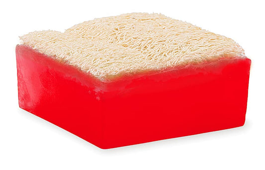 Primal Elements Watermelon Loofah Bar Soap, 5 Ounce : Beauty & Personal Care