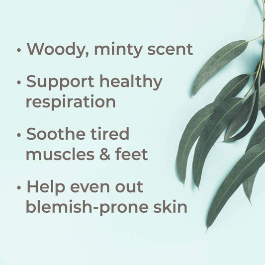 Plant Therapy Eucalyptus Dives Essential Oil 10 Ml (1/3 Oz) 100% Pure, Undiluted, Therapeutic Grade