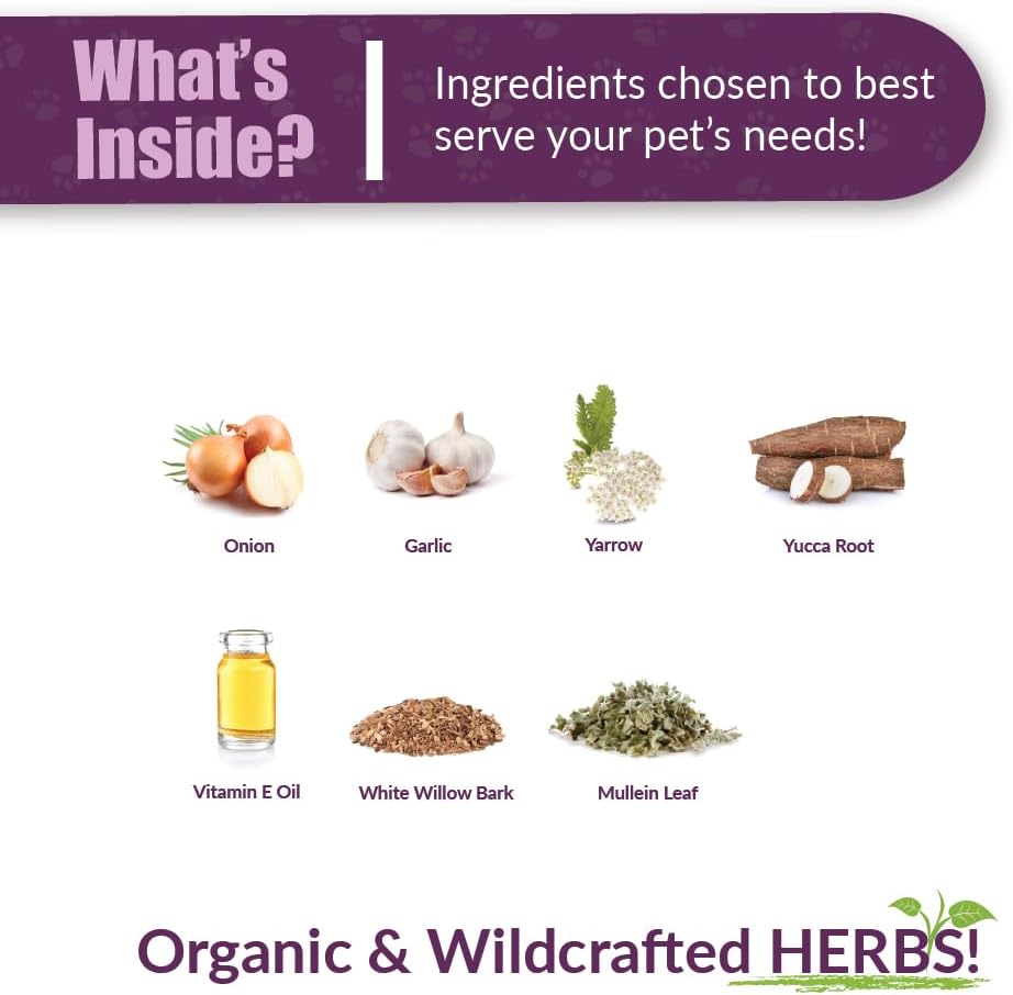 Amber Naturalz Otaxium Drops Herbal Supplement For Dogs, Cats, Birds, Guinea Pigs, And Rabbits | Pet Herbal Supplement For Ear Health | 1 Fluid Ounce Glass Bottle | Manufactured In The Usa : Pet Supplies