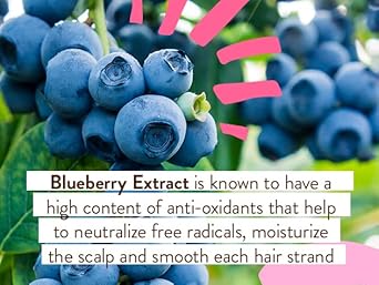 Babo Botanicals Smoothing Berry 2-in-1 Shampoo & Wash - Detangling & Nourishing - Eliminates Frizz & Prevents Static - Evening Primrose Oil - For all ages - Light Berry Fragrance- Vegan : Beauty & Personal Care