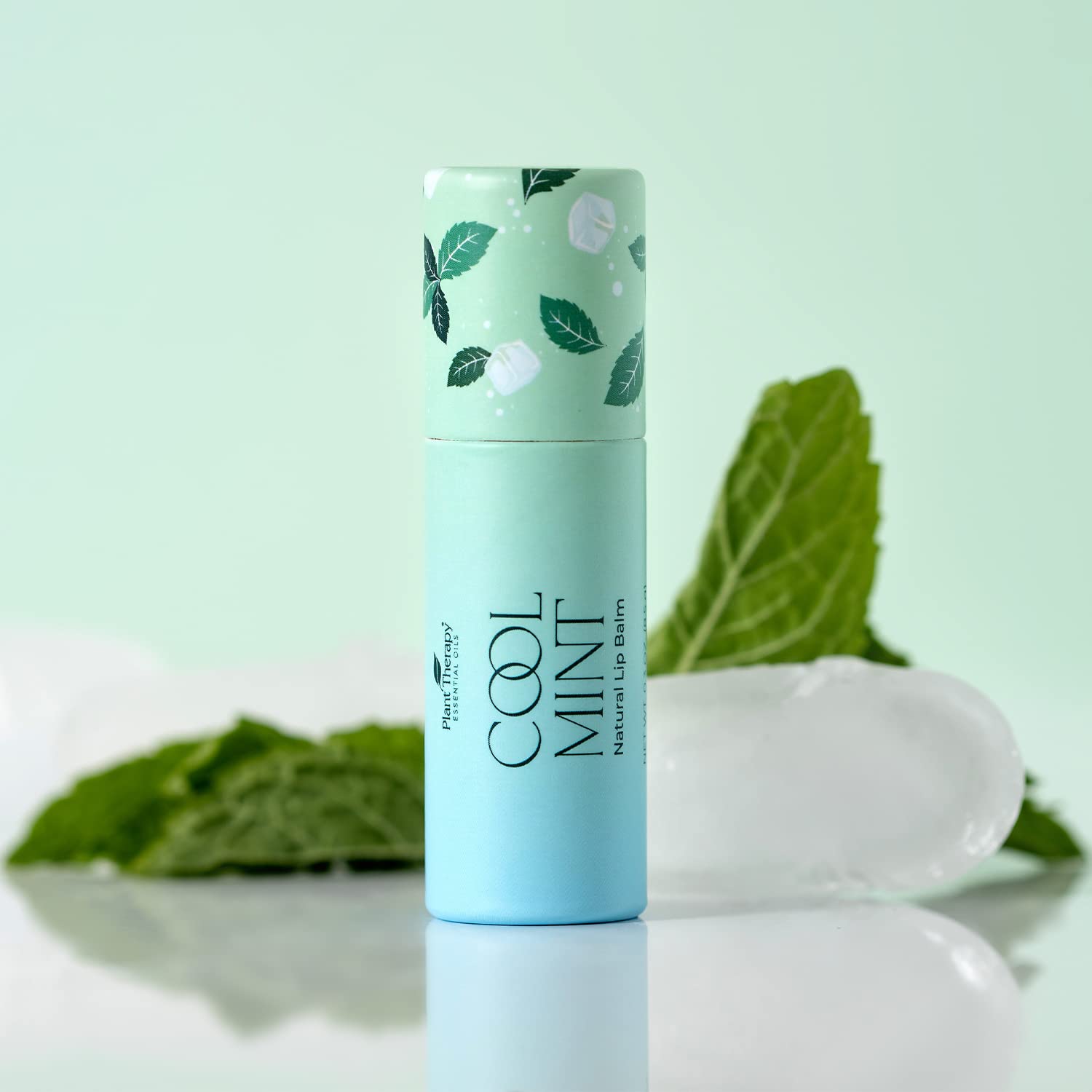 Plant Therapy Cool Mint Natural Lip Balm 0.3 oz (8.5 g) Simple, Natural Ingredients & Packaged in Eco-Friendly Recyclable Cardboard : Beauty & Personal Care