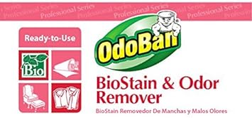 OdoBan Professional Cleaning and Odor Control Solutions, Ready-to-Use Biostain and Odor Remover, 1 Gallon : Everything Else