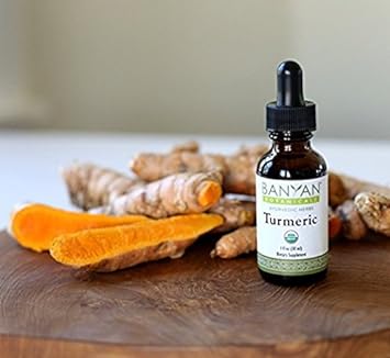 Banyan Botanicals Turmeric Liquid Extract, USDA Organic, 1 oz - Extra Strength Tincture, Rapid Absorption and Assimilation - Supports Digestion, Overall Health, and Well-Being. : Health & Household