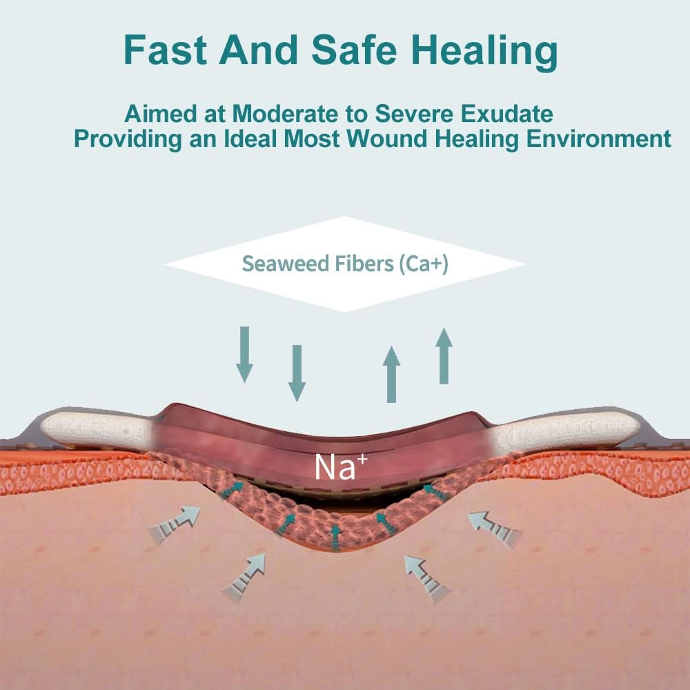 Winner Medical Calcium Alginate Wound Dressing Pads 10 X 10 Cm (Box Of 20), Sterile Antimicrobial, Non-Stick Padding, Highly Absorbent & Comfortable| Flexible & Gentle On The Skin, Faster Healing