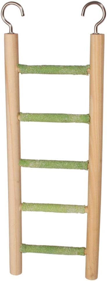 Pedicure Ladder for Small Birds Budgies 5 Steps :Pet Supplies