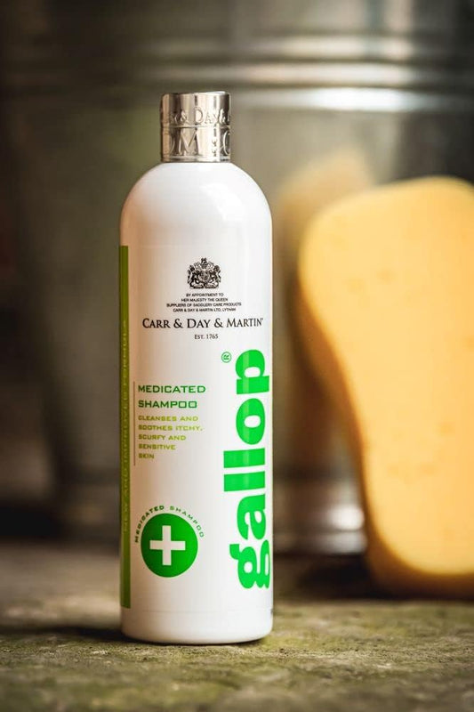 Carr & Day & Martin Gallop Medicated Shampoo 500ml : Amazon.co.uk: Pet Supplies