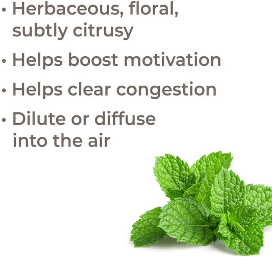 Plant Therapy Bergamot Mint Essential Oil 10 Ml (1/3 Oz) 100% Pure, Undiluted, Therapeutic Grade
