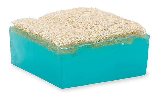 Primal Elements Mermaid Loofah Bar Soap, 5 Ounce : Beauty & Personal Care