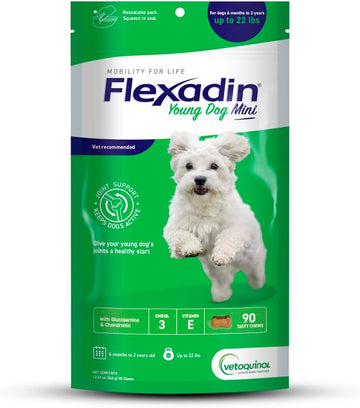 Vetoquinol Flexadin Hip and Joint Supplement with Glucosamine for Dogs, Joint Support Chew with Green-Lipped Mussel and MSM, 90-Count