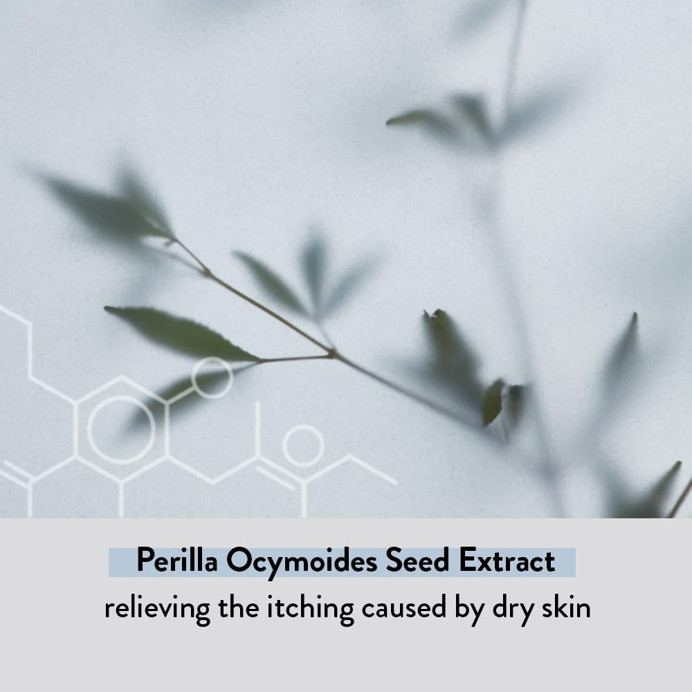 Illiyoon Ceramide Ato Lotion 528Ml(17.85Oz) | Daily Moisturizing Lotion For All Skin Types | Deep Moisturizing And Soothing Effect | Korean Skin Care : Beauty & Personal Care