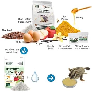 Exotic Nutrition Starter Package For Sugar Gliders - Includes Exercise Wheel, Food Assortment, Water Bottle, Food Dishes & Nest Pouch