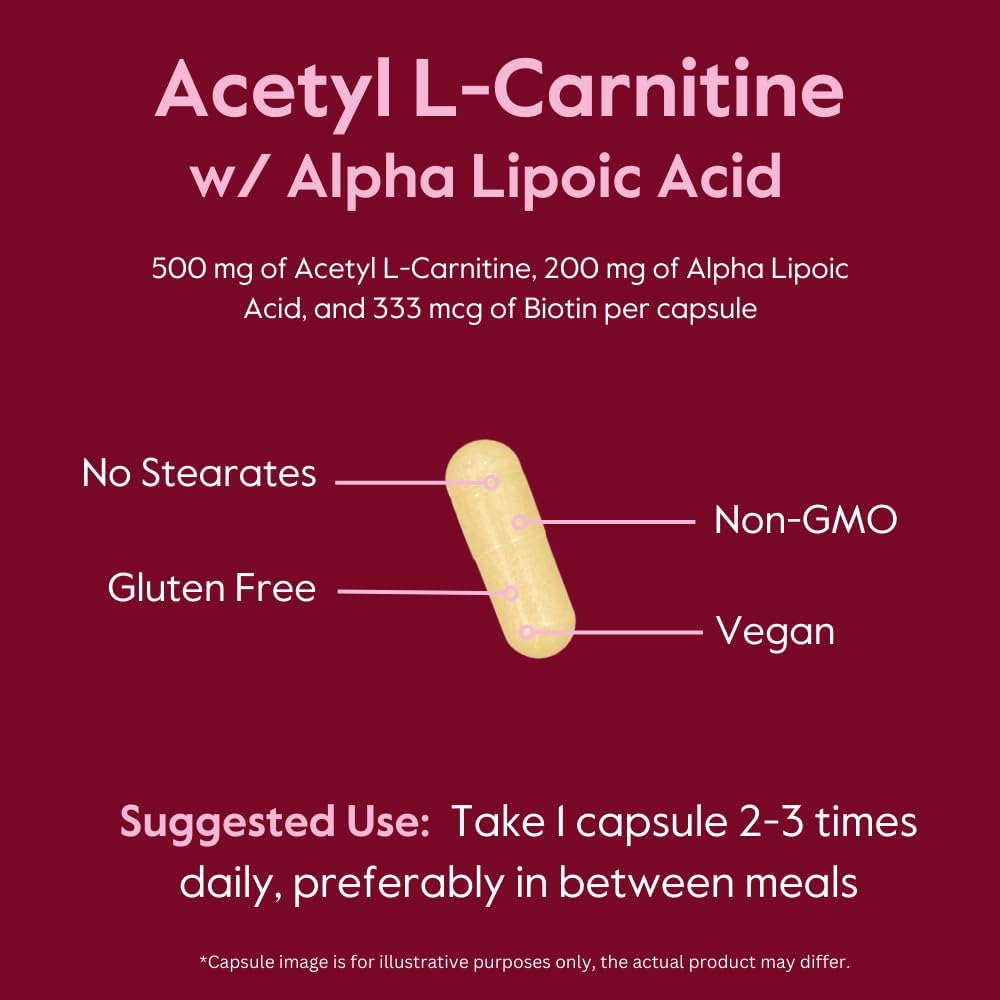 Bestvite Acetyl L-Carnitine 500Mg & Alpha Lipoic Acid 200Mg Per Capsule With Biotin (240 Vegetarian Capsules) (120 X 2) - No Stearates - Vegan - Non Gmo - Gluten Free : Health & Household