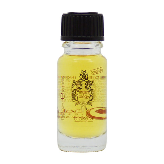 Salerm - Argan Hair Serum - Biokera Arganology - 12 X 10 Ml - For Very Dry And Damaged Hair - Nutrition And Shine - Revitalizes Hair - Extra Hydration : Beauty & Personal Care