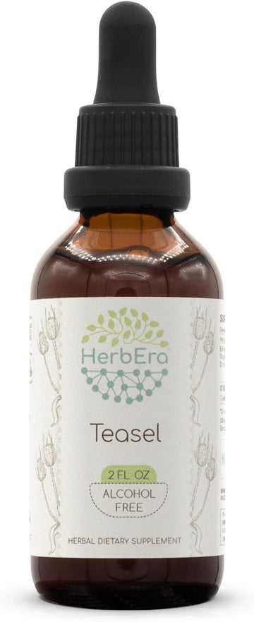 Teasel B120(2Pcs) Alcohol-Free Herbal Extract Tincture, Concentrated Liquid Drops Natural Teasel (Dipsacus Fullonum, Dipsacus Sylvestris) Dried Root (2X4 Fl Oz)