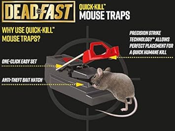 Deadfast 20300577 Quick Kill Mouse Trap, Twin Pack - Black :Garden