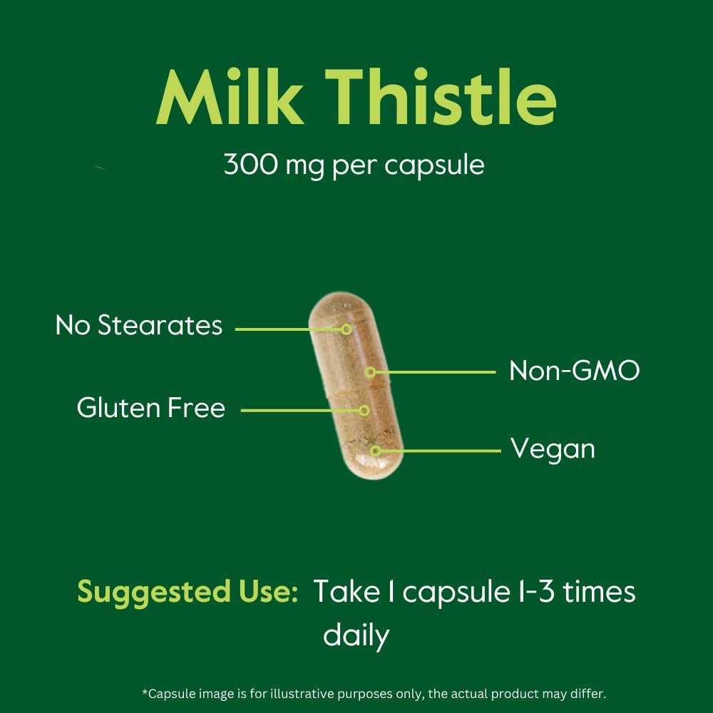 Bestvite Milk Thistle 300Mg (240 Vegetarian Capsules) - Standardized To 80% Silymarin Flavonoids - No Stearates - Vegan - Non Gmo - Gluten Free : Health & Household