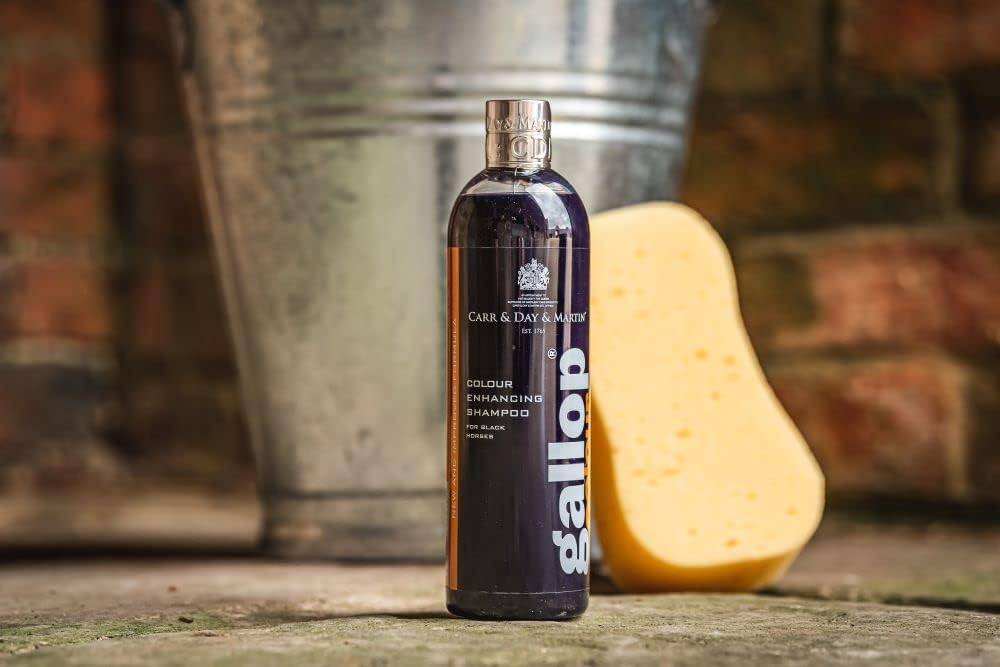 Carr & Day & Martin Gallop Colour Enhancing Shampoo - Black 500 ml : Amazon.co.uk: Beauty
