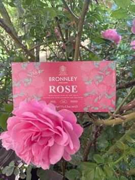Bronnley Wall Picture Rose 3 x 100 g, Rectangular, Unframed, Pink, Flower, Living Room Decoration, Wall Mounting, Glossy Finish
