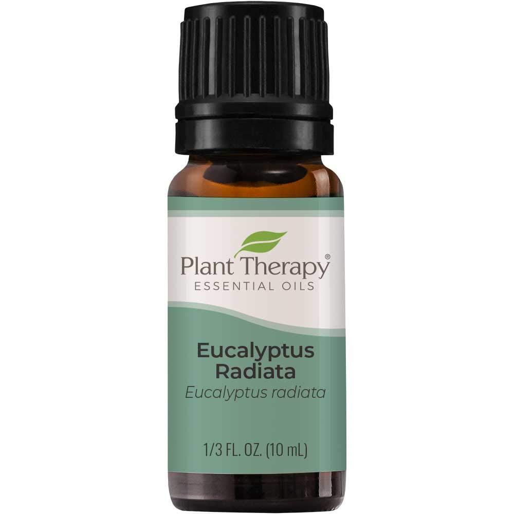 Plant Therapy Eucalyptus Radiata Essential Oil 10 Ml (1/3 Oz) 100% Pure, Undiluted, Therapeutic Grade
