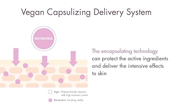 Leegeehaam Dr.Ceuracle Vegan Active Berry Lifting Cream (75G / 2.64 Oz.) - Antioxidant Moisturizer With Resveratrol Capsules And Vitamin A, Good For Hydration And Rejuvenation : Beauty & Personal Care