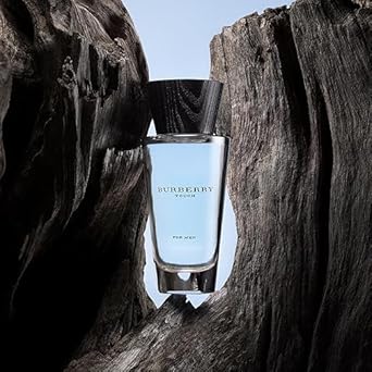 Burberry Touch For Men Eau De Toilette 50 Ml