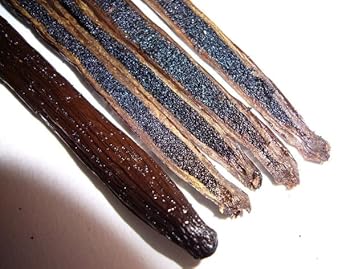 10 Comoros Vanilla Beans Whole Grade A Vanilla Pods For Homemade Vanilla Extract, Baking, Ice Cream, Flavoring, & Vanilla Powder