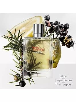 Terre D'Hermes By Hermes For Men 2 Piece Set Includes: 3.3 Oz Eau De Toilette Spray + 2.7 Oz All Over Shower Gel