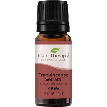 Plant Therapy Frankincense Serrata Essential Oils 100% Pure, Undiluted, Natural Aromatherapy, Frankincense Oil For Diffuser, Skin, Massage, & Joint Health, Therapeutic Grade 10 Ml (1/3 Oz)