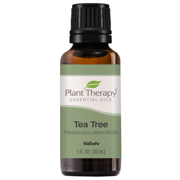 Plant Therapy Tea Tree Essential Oil 100% Pure, Undiluted, Natural Aromatherapy, Therapeutic Grade 30 Ml (1 Oz)
