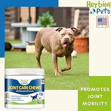 Herbion Pets Joint Care Chews with Glucosamine & Turmeric, 120 Soft Chews - MSM & Chondroitin for Pain Relief - Improves Mobility - Supports Healthy Joints - Made in The USA - for Dogs 12 Weeks+ : Pet Supplies