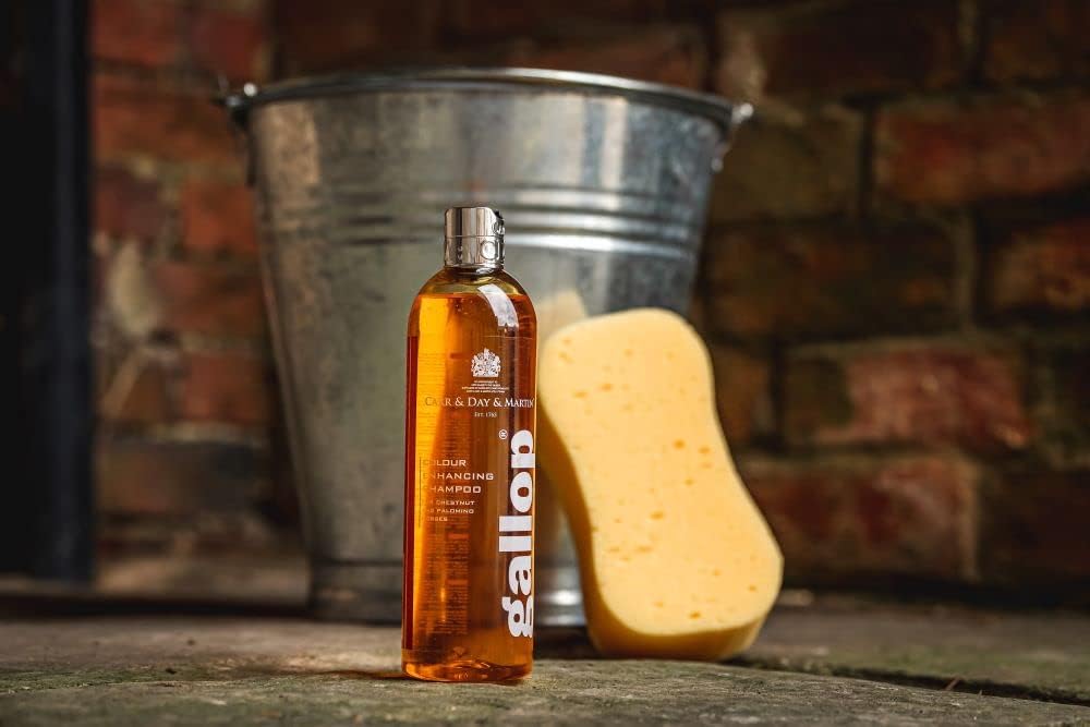 Carr & Day & Martin Gallop Colour Enhancing Shampoo - Chestnut & Palomino 500ml : Amazon.co.uk: Beauty