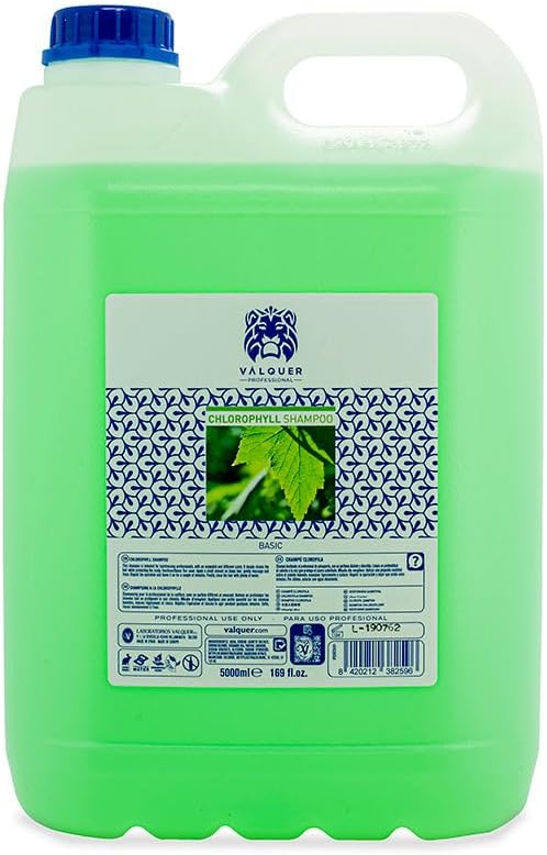 Valquer - Special Chlorophyll Shampoo for Hairdressers - Professional Shampoo - Carafe 5 L : Amazon.co.uk: Beauty