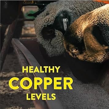 Redmond All Natural Sheep Mineral Supplement - Essential Trace Minerals For Overall Health And Growth Support - 5 Lbs : Pet Supplies