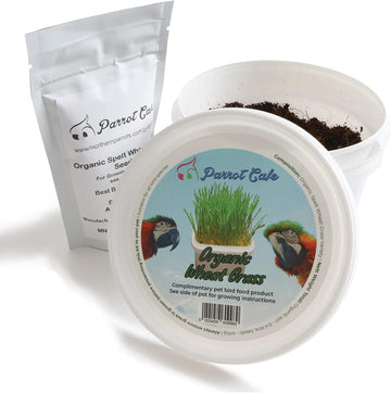 Parrot Cafe Organic Wheat Grass Parrot Treat - Grow Your Own