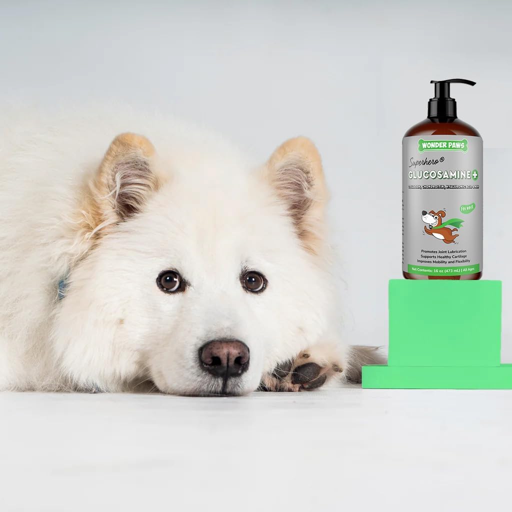 Premium Liquid Glucosamine for Dogs Strength Joint Support, Flexibility, Cartilage & Mobility - Hip and Joint Supplement with Chondroitin, MSM, Collagen & Hyaluronic Acid (16 Oz) : Pet Supplies