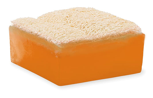 Primal Elements Sunrise Sunset Loofah Bar Soap, 5 Ounce : Beauty & Personal Care