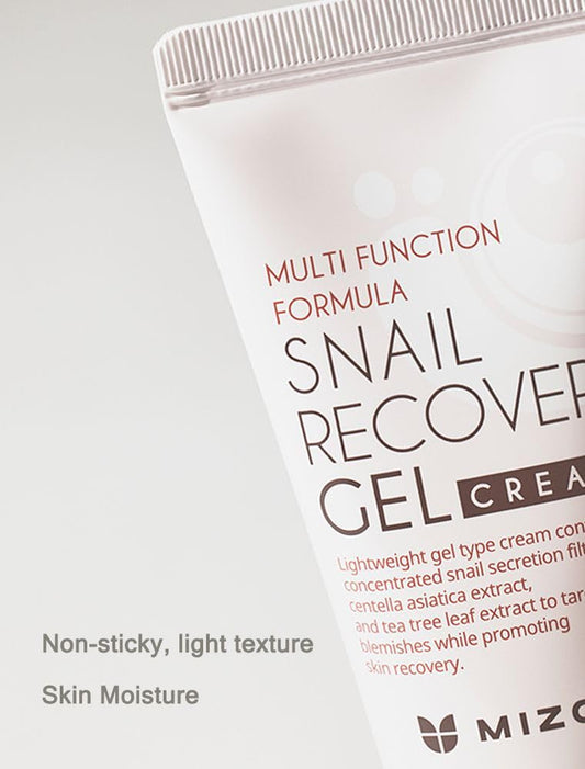 Mizon Snail Recovery Gel Cream, Wrinkle Care, Skin Elasticity, Moisture, Fragrance-Free, Paraben-Free (45Ml 1.52 Fl. Oz)