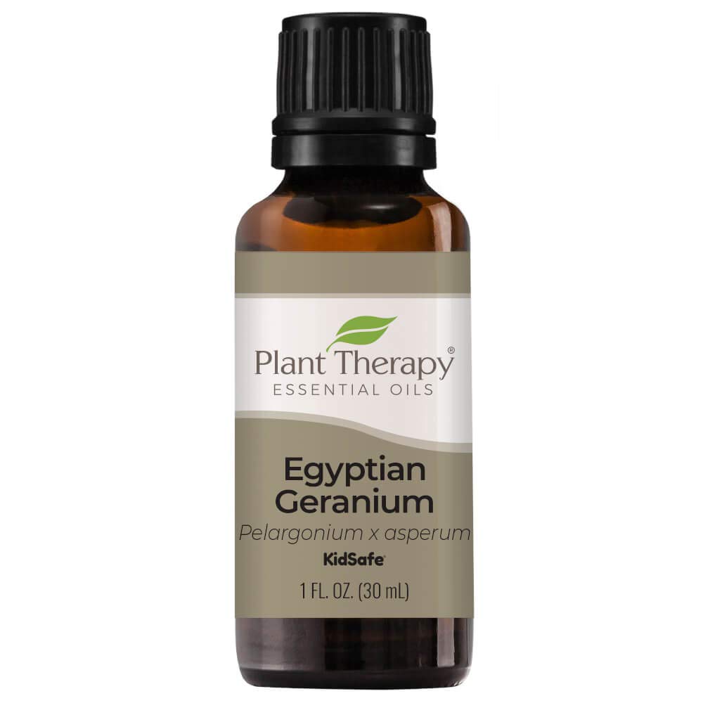 Plant Therapy Egyptian Geranium Essential Oil 100% Pure, Undiluted, Natural Aromatherapy, Therapeutic Grade 30 Ml (1 Oz)