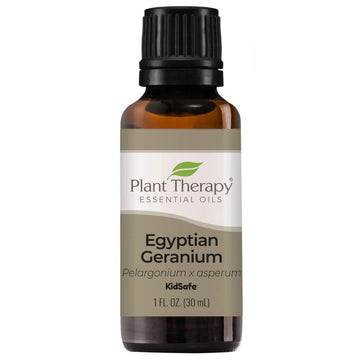Plant Therapy Egyptian Geranium Essential Oil 100% Pure, Undiluted, Natural Aromatherapy, Therapeutic Grade 30 Ml (1 Oz)