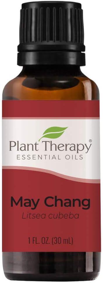 Plant Therapy May Chang (Litsea Cubeba) Essential Oil 30 Ml (1 Oz) 100% Pure, Undiluted, Therapeutic Grade