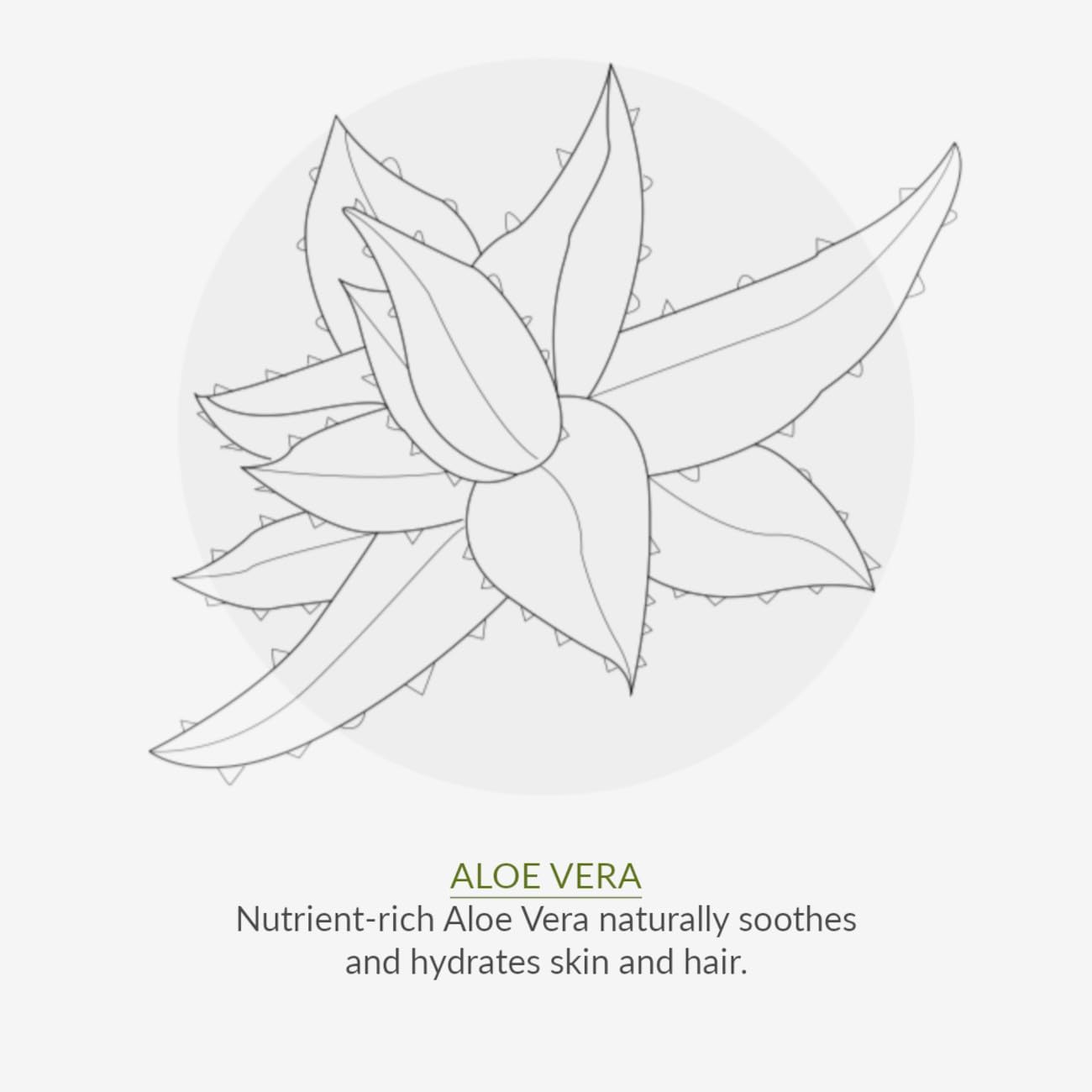 Green People Aloe Vera and Prebiotics Deodorant - No Pore-Clogging Aluminium - Suitable for Sensitive Skin - Organic, Cruelty Free & Vegan, 75ml : Amazon.co.uk: Beauty