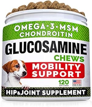 Glucosamine Treats + Probiotics Powder For Cats And Dogs Bundle - Joint Supplement W/Omega-3 Fish Oil + Relieves Diarrhea, Upset Stomach - Chondroitin, Msm + Digestive Enzymes, Prebiotics - Made In Us