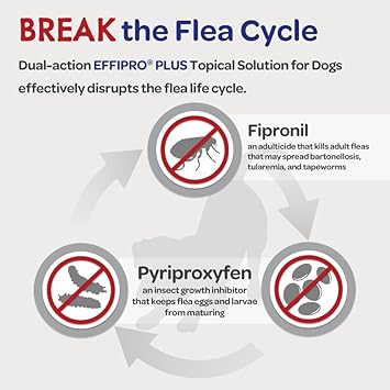 Virbac Effipro Plus Topical Solution for Dogs - Dog Flea and Tick Treatment for Small Dogs (5-22.9lbs), 3 Doses, Waterproof Topical Prevention : Pet Supplies