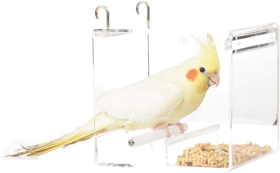 Parrot Food Mate - Acrylic Less Mess Feeder - Small