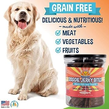 Premium Healthy Dog Jerky Treats | Grain Free Salmon Dog Treat Bites | Natural Snack Made with Salmon, Chickpeas & Sweet Potatoes | No Corn, Wheat or Soy : Pet Supplies