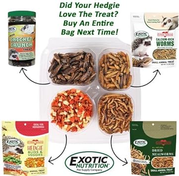 Exotic Nutrition Hedgehog Treat Sampler - Healthy Natural Treat Variety Pack - High Protein Insect Variety Pack for Pet Hedgehogs : Pet Supplies