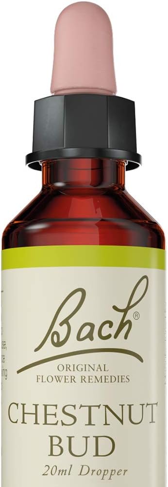 Bach Original Flower Remedies (Chestnut Bud) Live The Day, Learn From Mistakes, Emotional Wellness, Natural Flower Essence, 20ml : Amazon.co.uk: Health & Personal Care