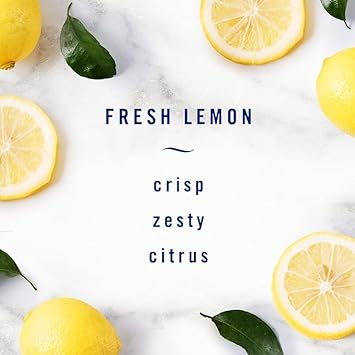 Febreze Kitchen Fade Defy Plug Air Freshener - Fresh Lemon Scent - (2) of 0.87 fl oz Refills : Health & Household