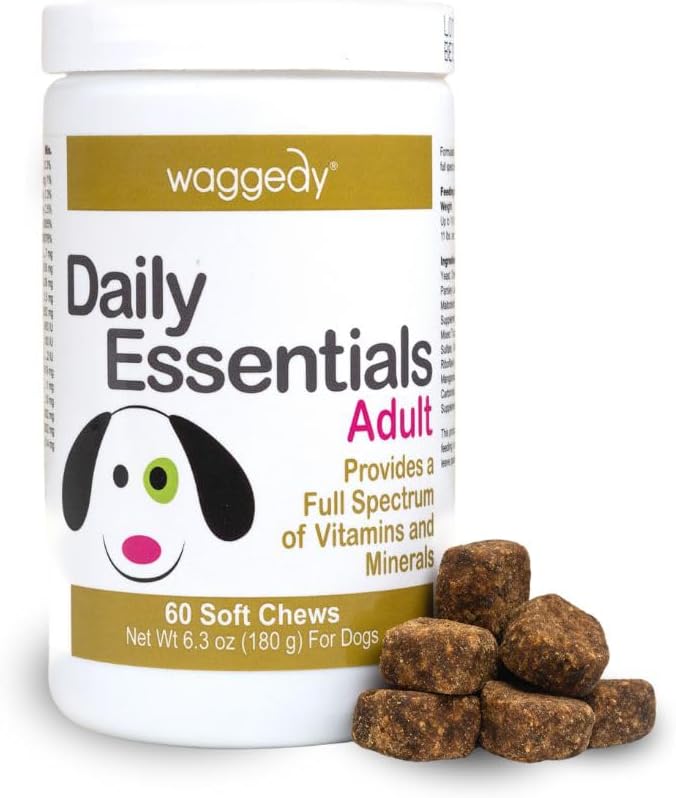 waggedy Daily Essentials Adult Soft Chews — Dog Multivitamin & Immune System Supporter — Dog Nutritional Supplement — Small/Large Dog Supplements & Vitamins (60 Chews)