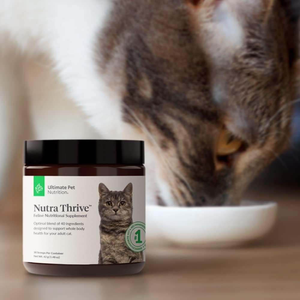 ULTIMATE PET NUTRITION Nutra Thrive™ Cat 40 in 1 Nutritional Supplement for Cats, Vitamins, Minerals, Probiotics, Enzymes, Antioxidants and Superfoods Blend, 30 Servings : Pet Supplies